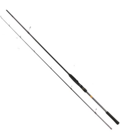 Beach Fishing Rod